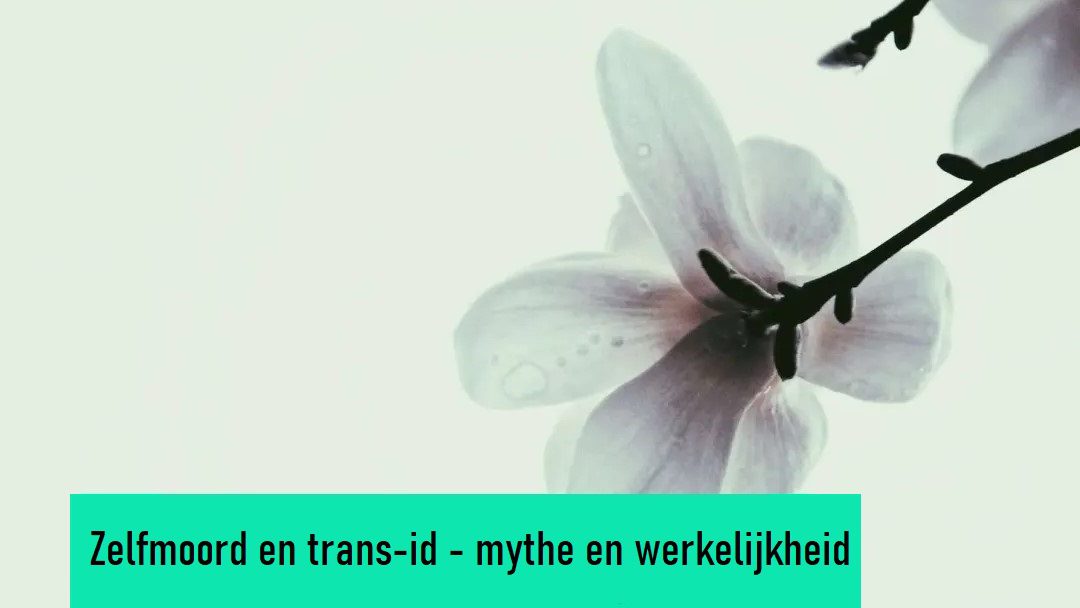 zelfmoord en trans-identiteit - mythe en realiteit
