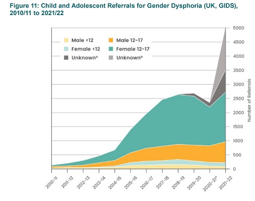 Child and Adolescent Referrals for Gender Dysphoria