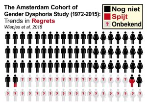 The Amsterdam Cohort of Gender Dysphoria Study